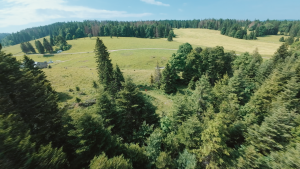 13488622 98cd 4da0 9ef4 f66b1cad2899.00 02 39 56.still007