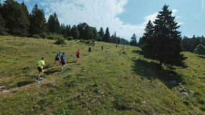 13488622 98cd 4da0 9ef4 f66b1cad2899.00 04 24 58.still004