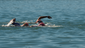 mystery box.00 01 08 06.still003