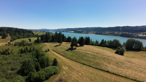 mystery box.00 02 14 11.still010