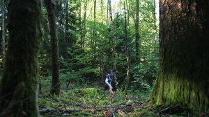 chateaux joux mavic.00 01 07 24.still011