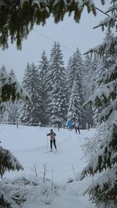 minia ski 25 (6)
